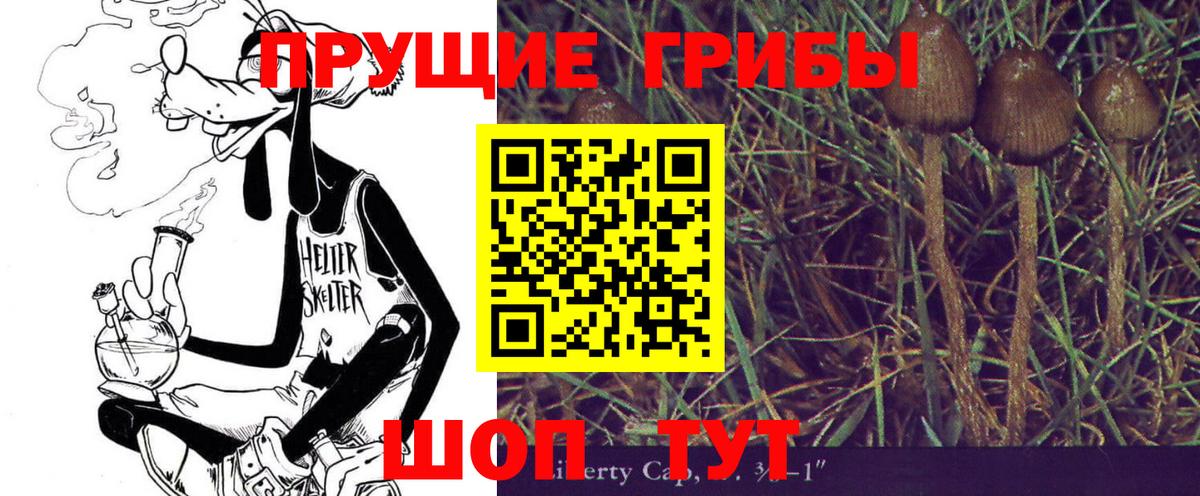 Мелеуз  Псилоцибиновые грибы Magic Shrooms  Галлюциногенные грибы Psilocybe  Вход с VPN 