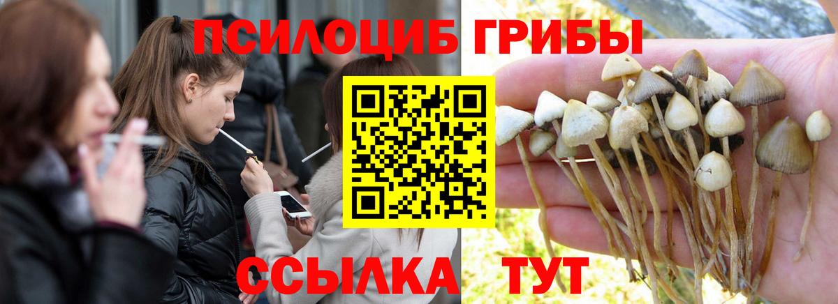 Псилоцибиновые грибы Psilocybe Мелеуз